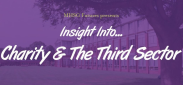 Insight into Charity and The Third Sector Insight into Charity and The Third Sector