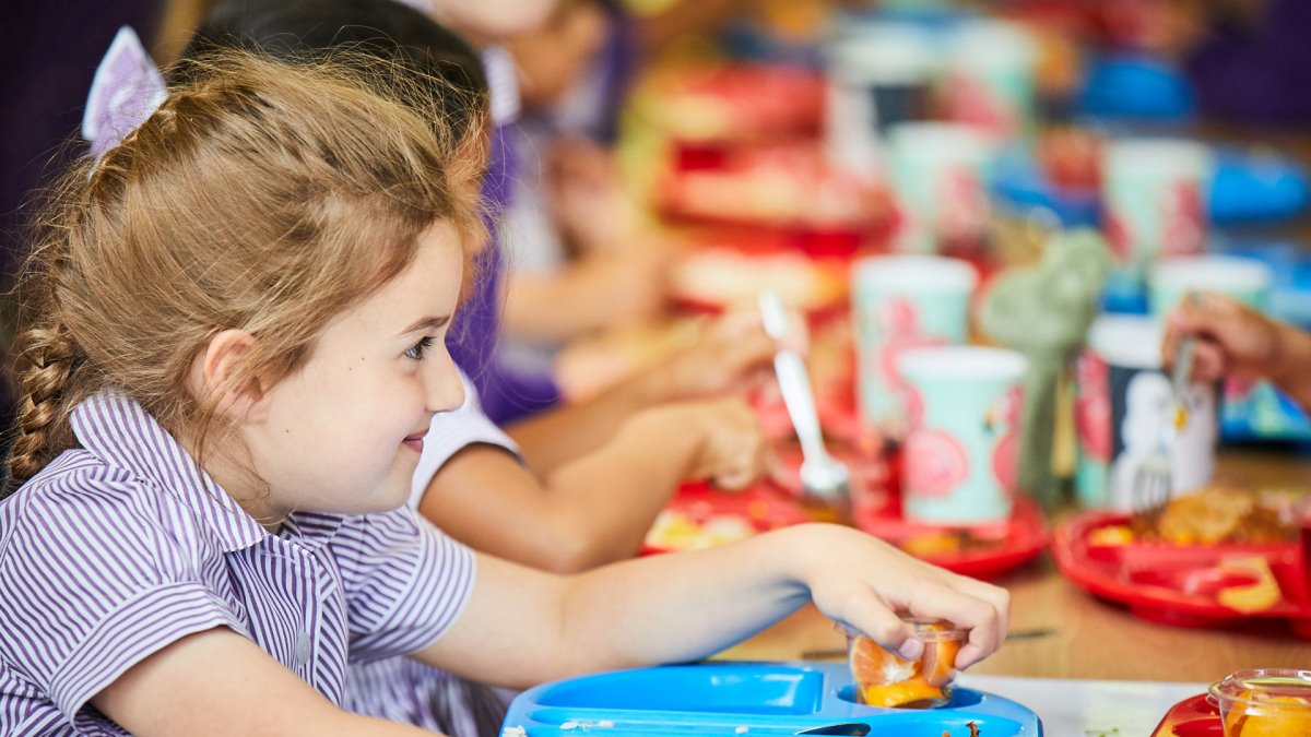 Lunch Menus Manchester High School for Girls